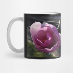 Tonal Magnolia Mug